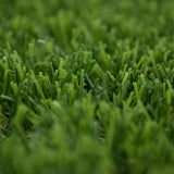 Everglade 30mm Artificial Grass