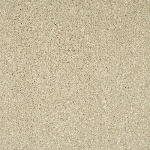 Frosted Dawn 05 Sophistication Supreme Carpet Clearance