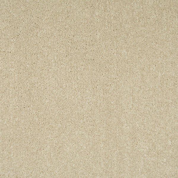 Frosted Dawn 05 Sophistication Supreme Carpet Clearance