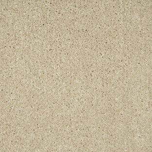 Frosted Dawn 05 Sophistication Supreme Carpet Clearance