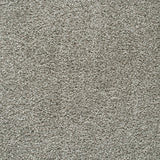 Greige Nebula Actionback Carpet