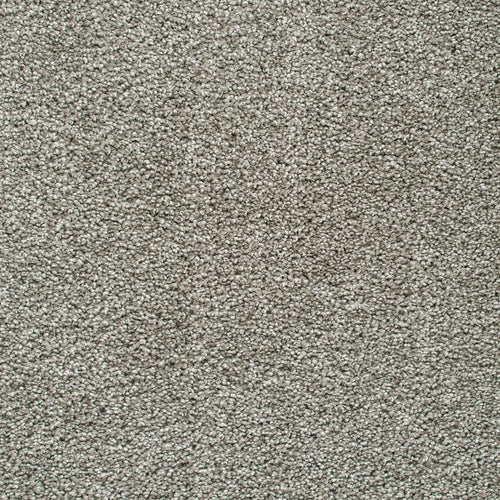 Greige Nebula Actionback Carpet