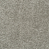 Greige Nebula Actionback Carpet