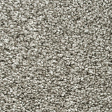 Greige Nebula Actionback Carpet