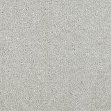 Grey Mare 900 Noble Saxony Collection Carpet