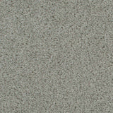 Light Grey 154 Dublin Heathers Carpet