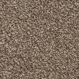 Light Brown 90 Emotion Classic Intenza Carpet