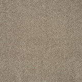 Light Brown 90 Emotion Elite Intenza Carpet