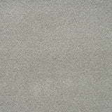 Light Grey 274 Emotion Elite Intenza Carpet