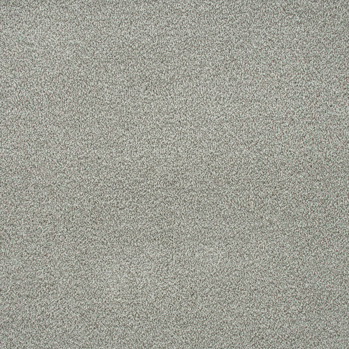 Light Grey 274 Emotion Elite Intenza Carpet