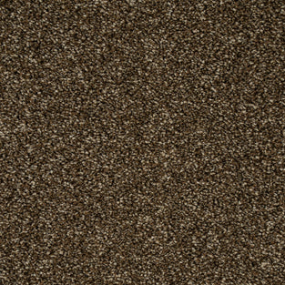 Loam 39 Temptation Carpet