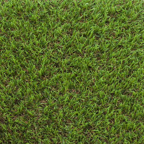 Marino 30mm Artificial Grass