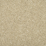 Monterey Sand Sensation Original 60oz Carpet by Cormar