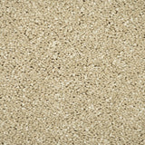 Monterey Sand Sensation Original 60oz Carpet by Cormar