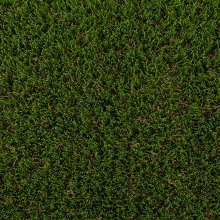 Newham 30mm Artificial Grass