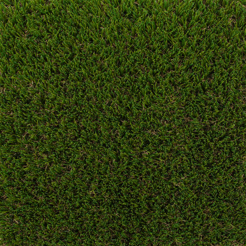 Newham 30mm Artificial Grass