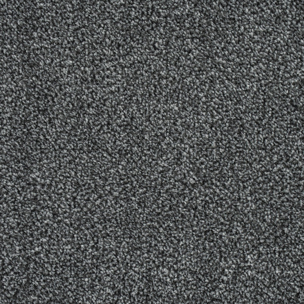 Nickel 277 Emotion Classic Intenza Carpet 5.4m x 5m Remnant