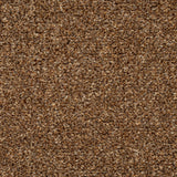 Nutmeg 42 Stainaway Harvest Heathers Deluxe Carpet