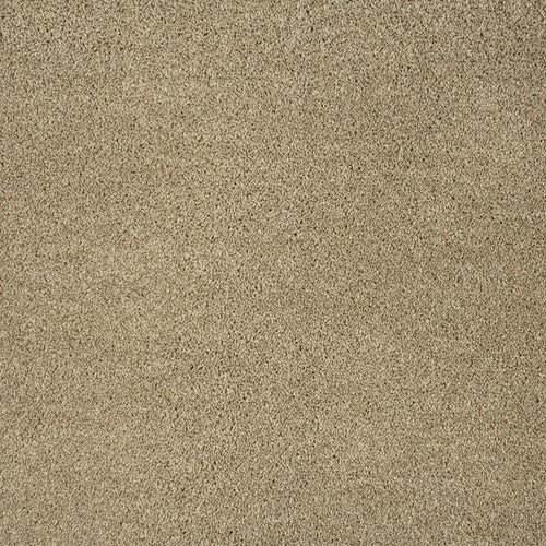 Oatmeal 30 Temptation Carpet Clearance