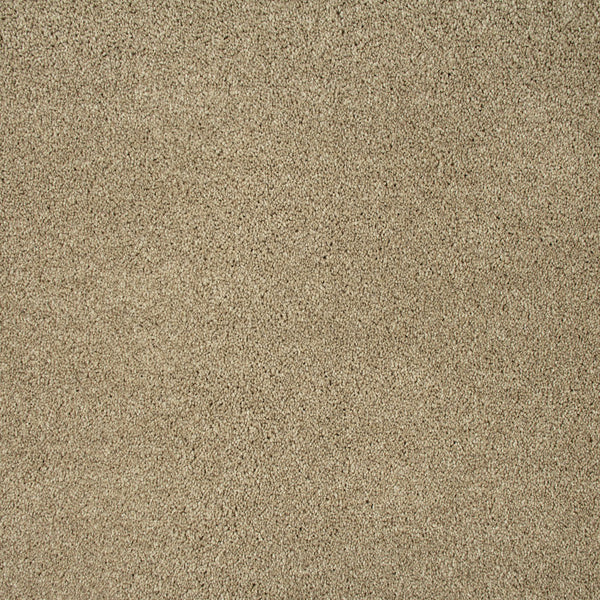 Oatmeal 30 Temptation Carpet Clearance