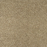 Oatmeal 30 Temptation Carpet Clearance