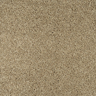 Oatmeal 30 Temptation Carpet Clearance