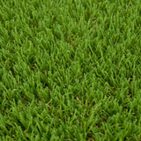 Osterley 30mm Artificial Grass