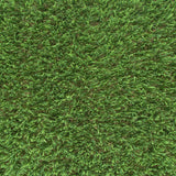 Paloma 37mm Artificial Grass