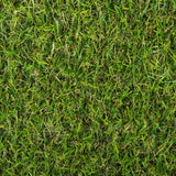 Parkdale 20mm Artificial Grass