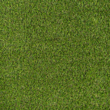 Parkdale 20mm Artificial Grass