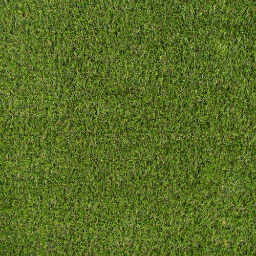 Parkdale 20mm Artificial Grass