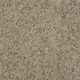 Pebble Shore Wharfdale Twist 40oz Carpet