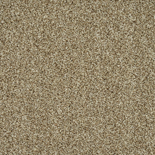 Pebble Beige 32 Temptation Carpet