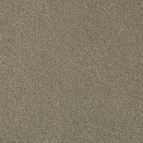 Pebble Beige 73 Palace Twist Carpet