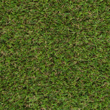 Pembrey 22mm Artificial Grass