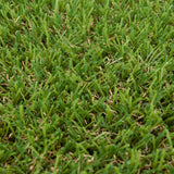 Pembrey 22mm Artificial Grass