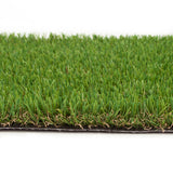 Pembrey 22mm Artificial Grass