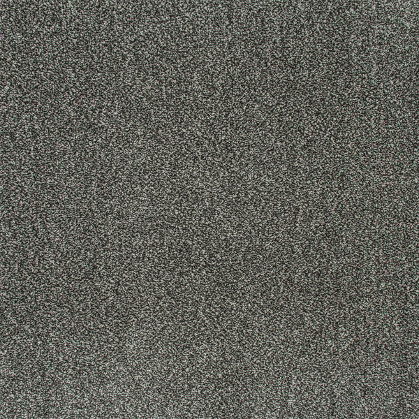 Pewter 177 Emotion Elite Intenza Carpet