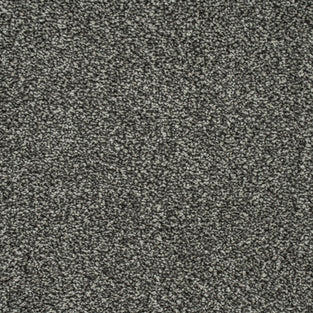 Pewter 177 Emotion Elite Intenza Carpet