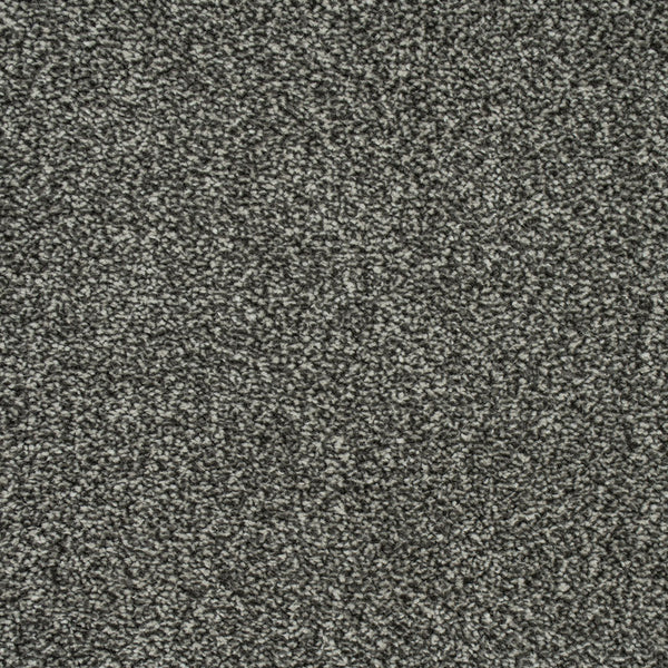 Pewter 177 Emotion Elite Intenza Carpet | Buy Intenza Emotion Elite ...