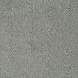 Platinum 174 Emotion Elite Intenza Carpet