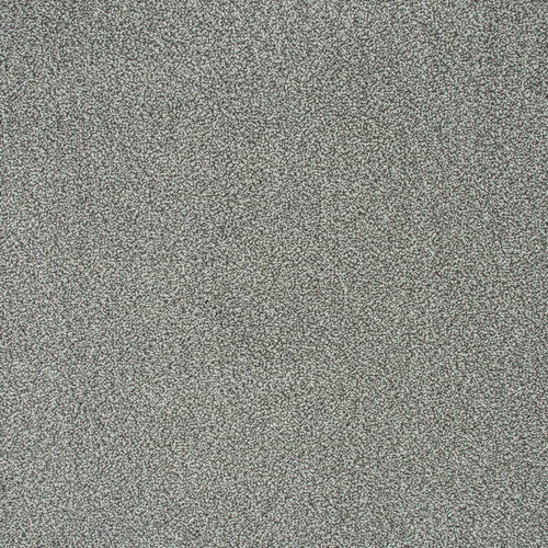 Platinum 174 Emotion Elite Intenza Carpet