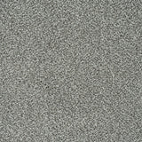 Platinum 174 Emotion Elite Intenza Carpet