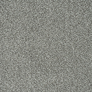 Platinum 174 Emotion Elite Intenza Carpet