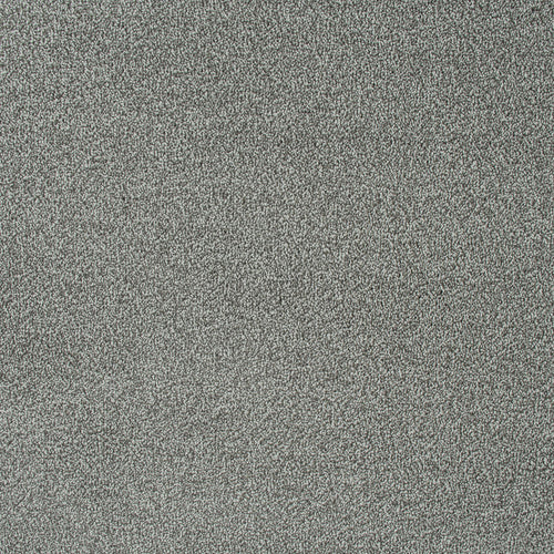 Platinum 174 Emotion Classic Intenza Carpet