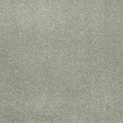 Platinum 274 Oxford Saxony Carpet