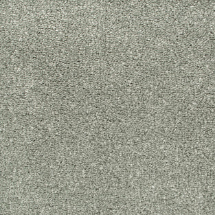 Platinum 274 Oxford Saxony Carpet