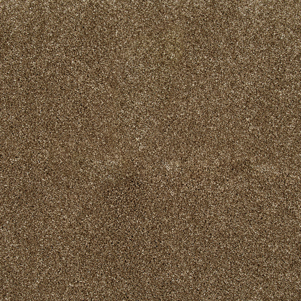 Reed Beige 34 Temptation Carpet