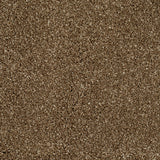 Reed Beige 34 Temptation Carpet