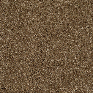 Reed Beige 34 Temptation Carpet